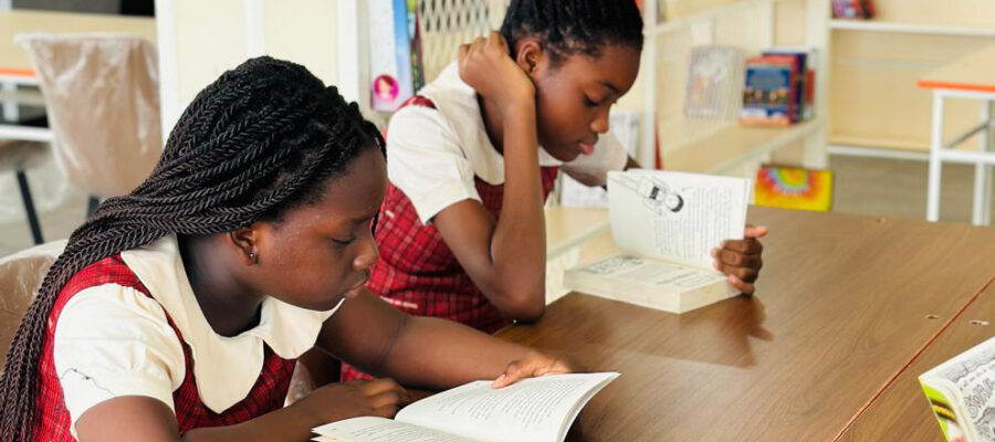 e8a23b34-7d91-4485-b7bf-c60c3d55dc35